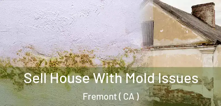 Sell House With Mold Issues Fremont ( CA )